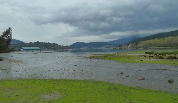 The tidal mud flat in Shoreline Park is at the head of Burrard Inlet. 