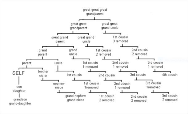Family-Tree