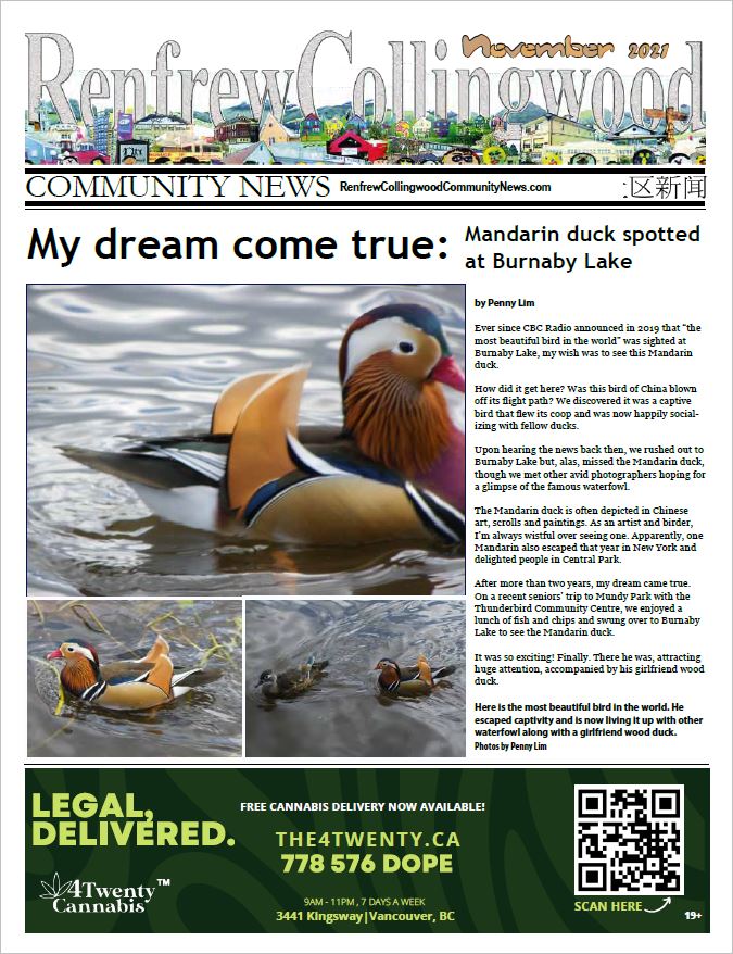 Renfrew-Collingwood Community News November 2021