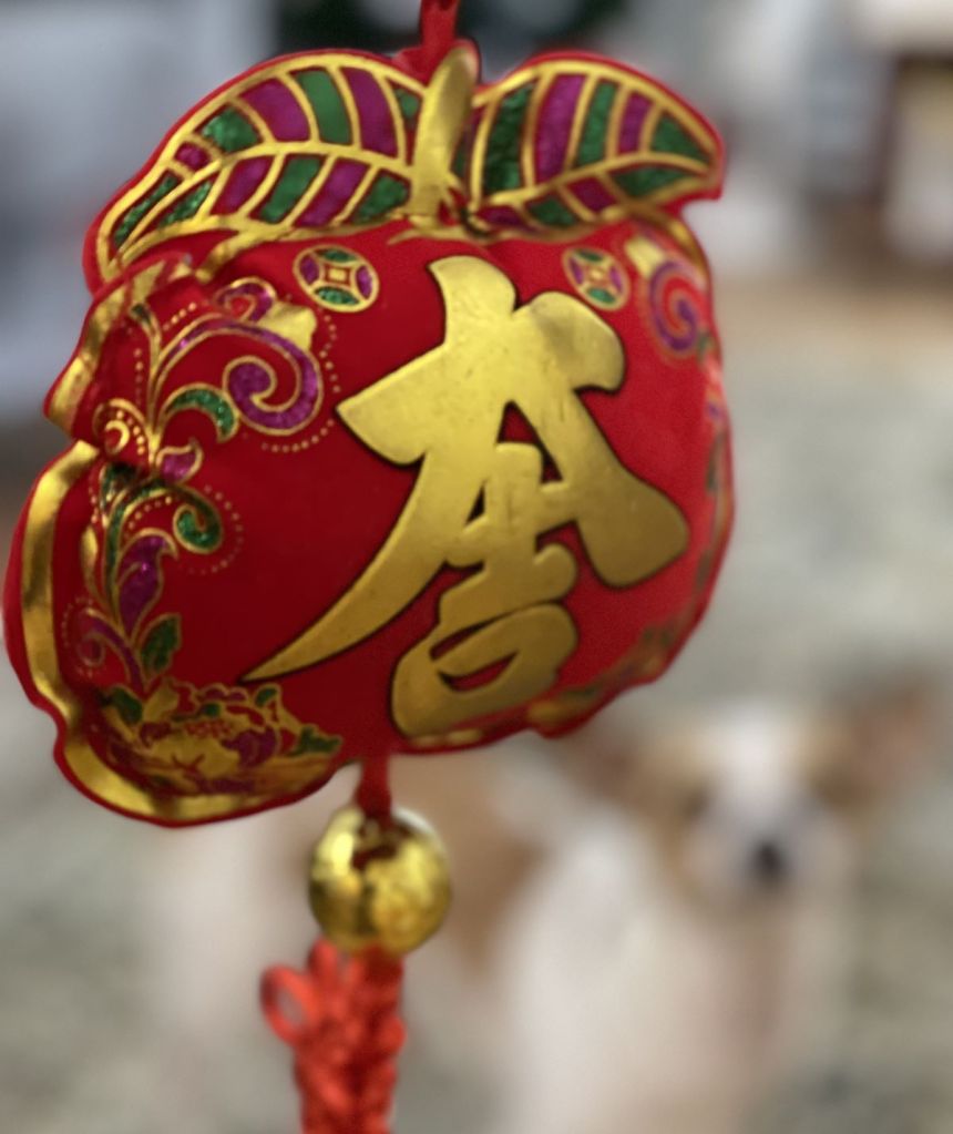 May the Year of the Water Rabbit be a lucky one for you and your family. Photo by Sophia Han